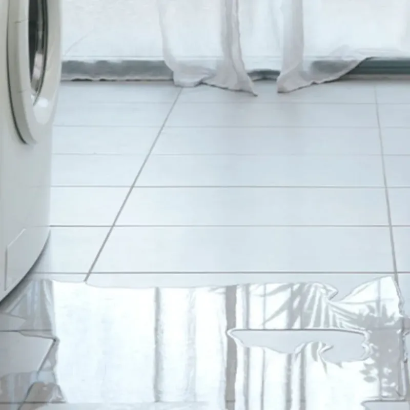 Appliance Leak Cleanup in Falls County, TX