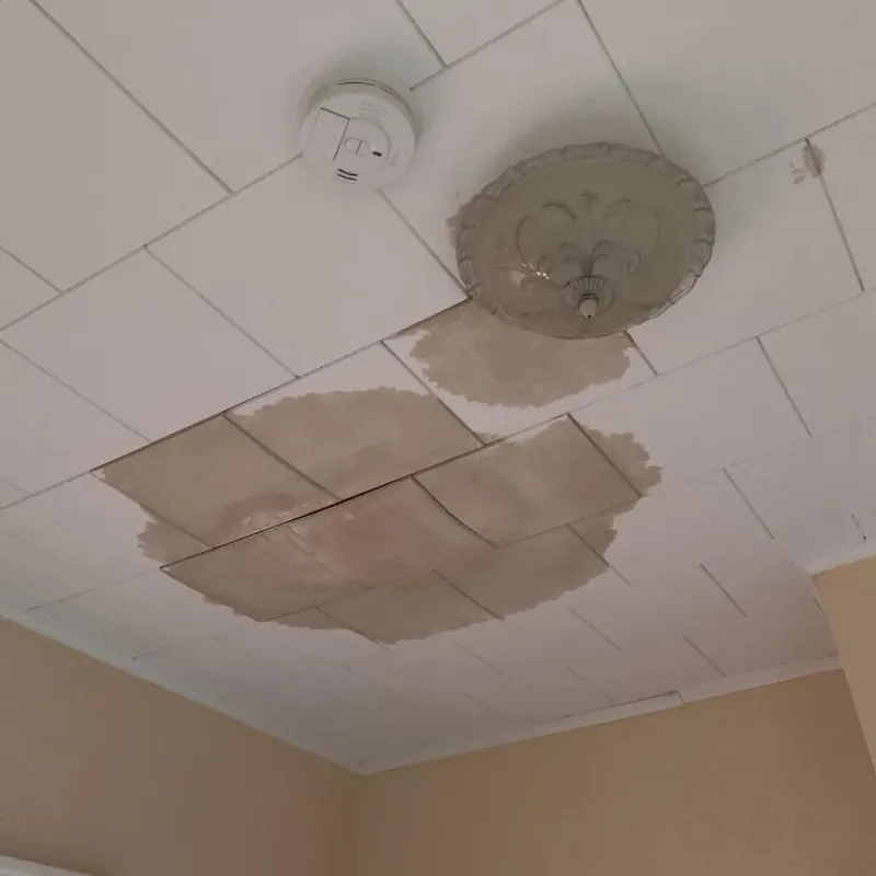 Ceiling Water Damage Repair in Falls County, TX