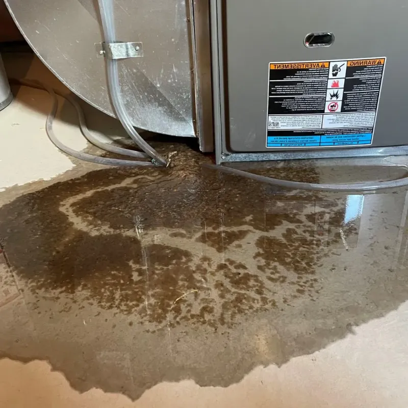 Pipe Burst and Leak Restoration in Falls County, TX