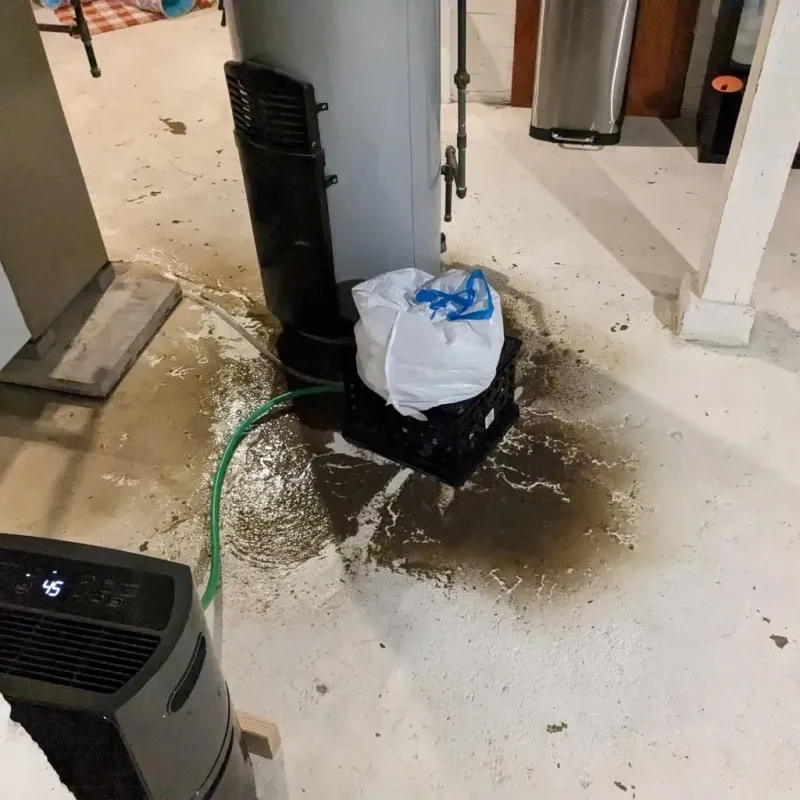 Sewage Backup Cleanup Service in Falls County, TX